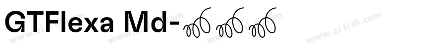 GTFlexa Md字体转换